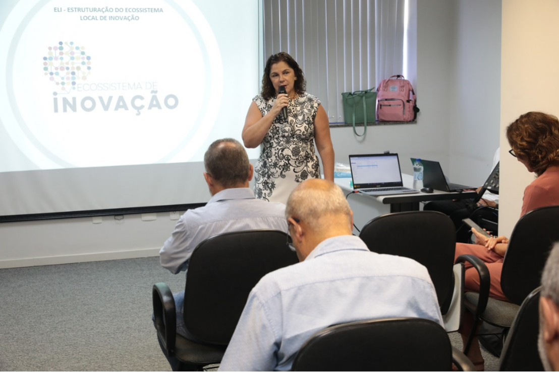 Desenvolvimento - Secretaria de Desenvolvimento Econômico e Inovação